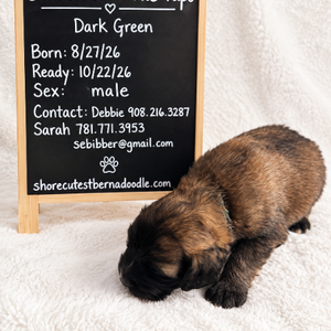 Dark Green (boy)