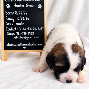 Hunter Green (boy)