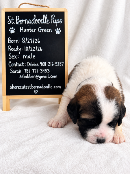 Hunter Green (boy)