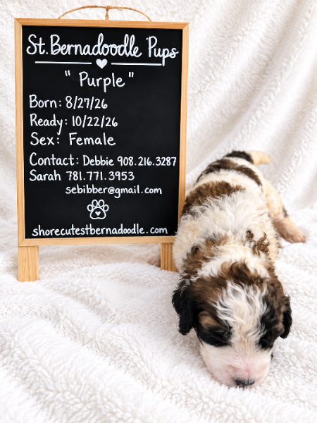 Purple (girl)